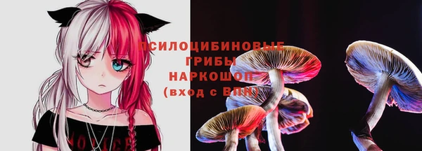 эйфоретик Богородицк