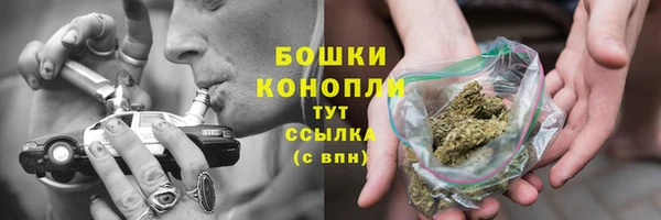 каннабис Богданович