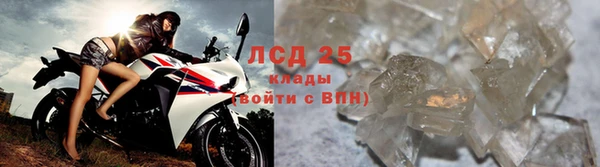 альфа пвп Бородино