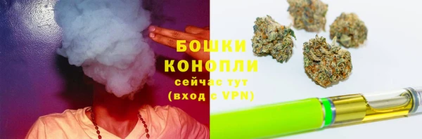 альфа пвп Бородино