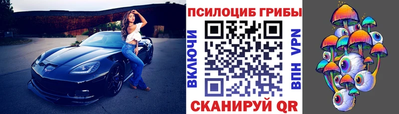 что такое   Облучье  ОМГ ОМГ ONION  Галлюциногенные грибы Magic Shrooms 